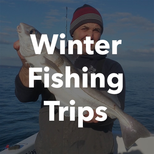 Winter Fishing Boat Trips Penzance