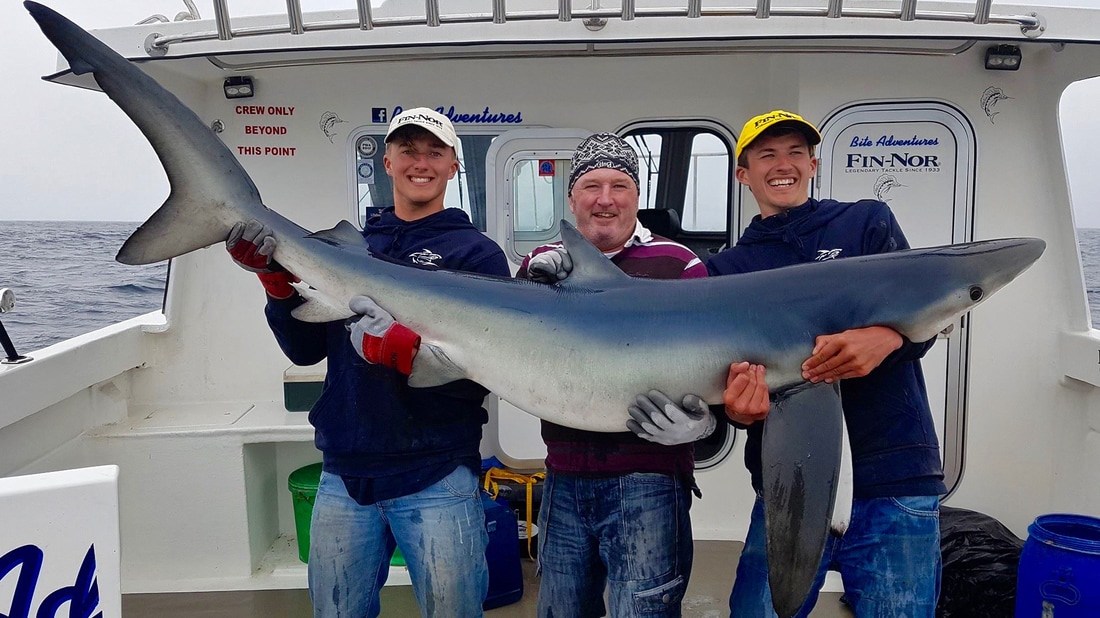 167lb Blue Shark caught by Liam Faisey on Bite Adventures