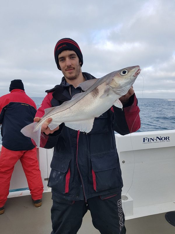 Another lovely Haddock caught on Bite Adventures