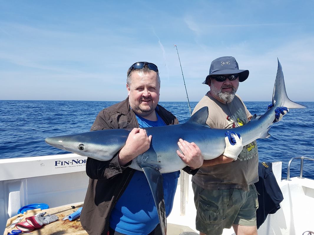 Blue Shark Fishing on Bite 2017