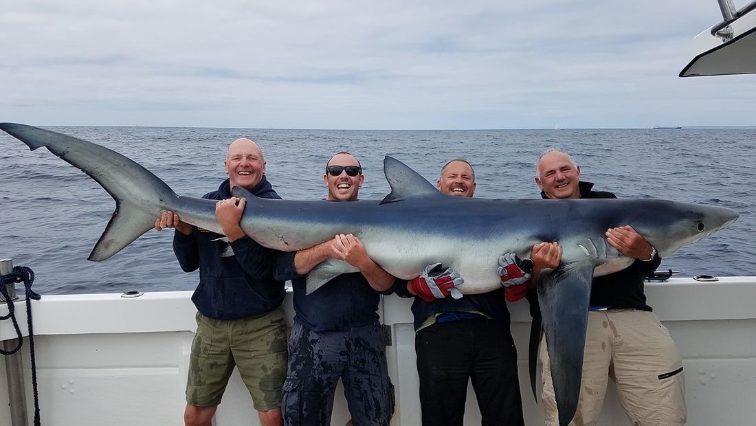 British Record Rod Caught Blue Shark of 256lb caught on Bite Adventures by John Dines