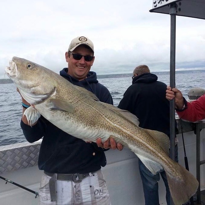 Monster Big Cod caught by the Skipper on Bite Adventures