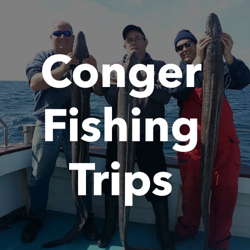 Conger Eel Fishing Boat Trips Penzance