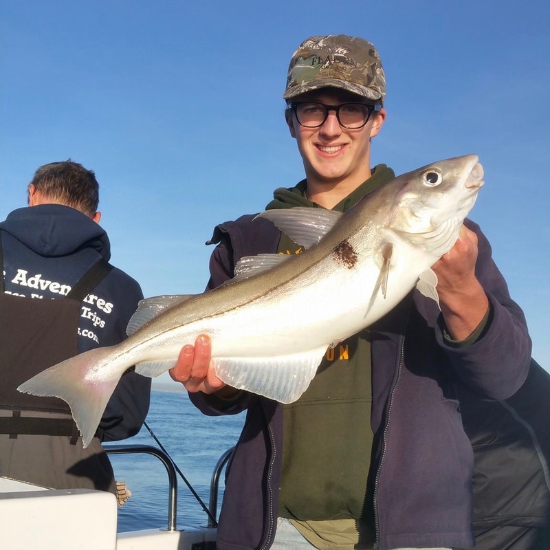 Big Haddock are often caught on Bite Adventures winter fishing trips