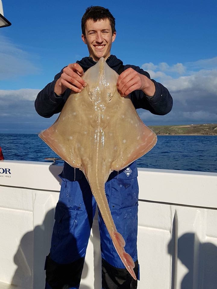 12lb 2oz Small Eyed Ray caught on Bite Adventures Penzance by Liam Faisey