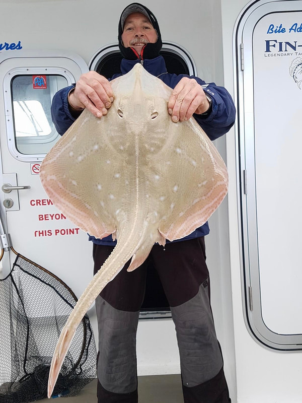 13lb 6oz Small Eyed Ray on Bite Adventure caught by Mark Hollins